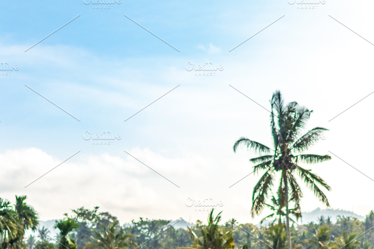 Tropical portrait of young happy in Graphics - product preview 8