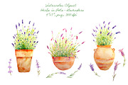 Watercolor Clipart Lavenders Herb