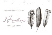 3 FEATHERS ILLUSTRATIONS