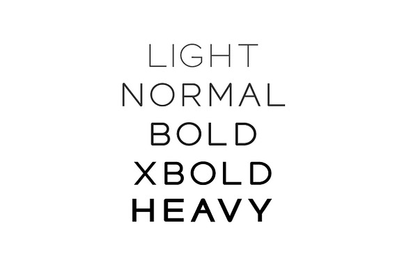 SIGNAL - Display / Headline Typeface in Display Fonts - product preview 5