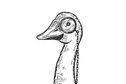 Goose wih monocle engraving vector