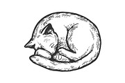 Sleeping cat engraving vector