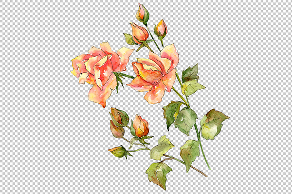 Bouquet of wonderful roses PNG set