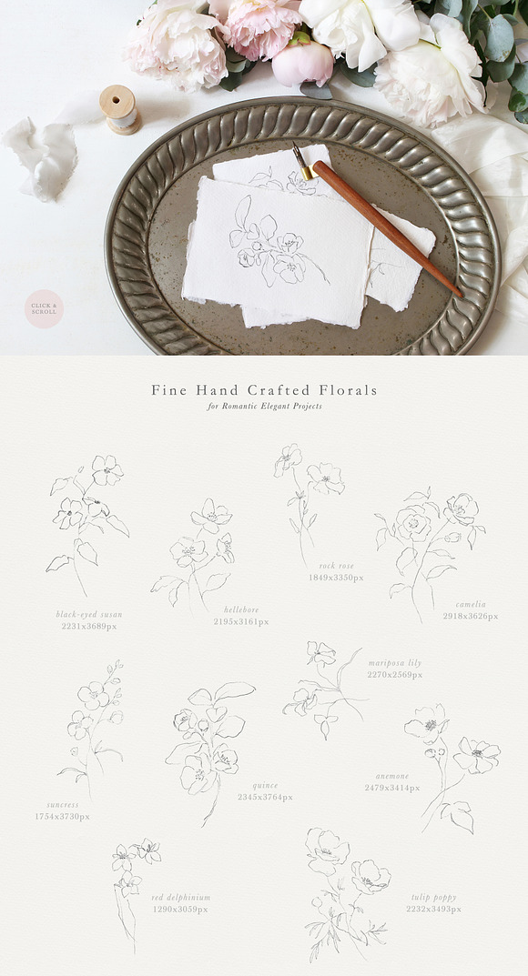 Linger - Fine Art Florals & Textures in Illustrations - product preview 1
