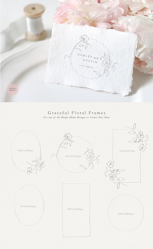 Linger - Fine Art Florals & Textures in Illustrations - product preview 5