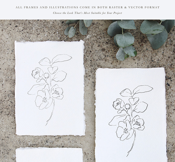 Linger - Fine Art Florals & Textures in Illustrations - product preview 6