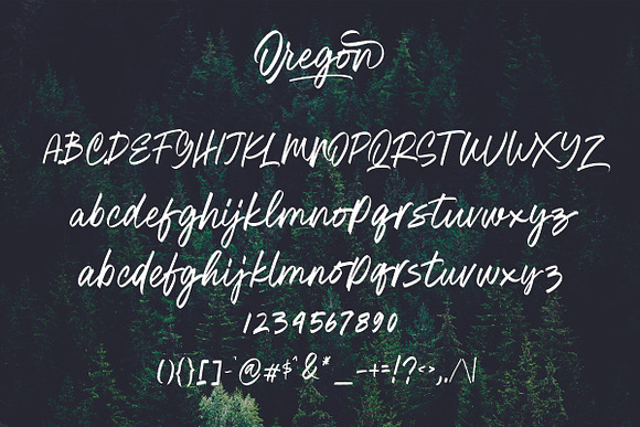 Oregon Script in Script Fonts - product preview 14