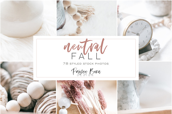 Neutral Fall Collection