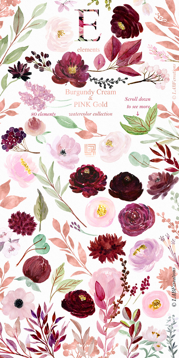 Burgundy flowers USA states in Illustrations - product preview 5