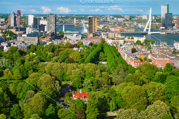 View of Rotterdam city and the
