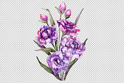 Bouquet of purple peony PNG set