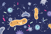 Different microbes bacterias