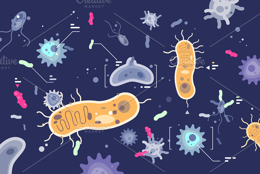 Different microbes bacterias