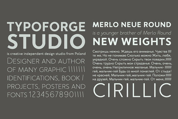 Merlo Neue New 50% off in Sans-Serif Fonts - product preview 7