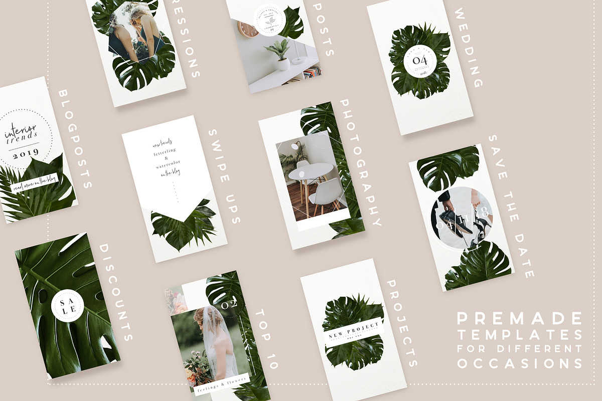 animated urban jungle | greenery in Instagram Templates - product preview 8
