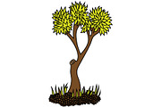 Tree Illustration