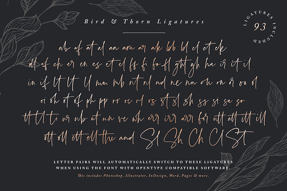 Bird & Thorn in Pretty Fonts - product preview 6