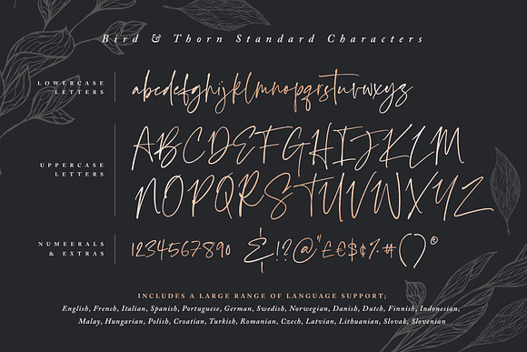 Bird & Thorn in Pretty Fonts - product preview 7