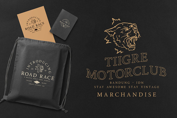 Road Race Font Family + Extras in Serif Fonts - product preview 3