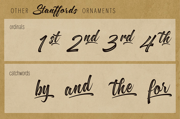 Stanffords in Script Fonts - product preview 3