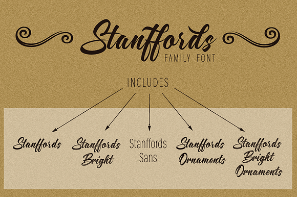 Stanffords in Script Fonts - product preview 9