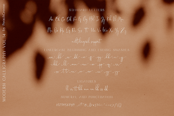Floral Theory // CALLIGRAPHY Vol.14 in Calligraphy Fonts - product preview 16