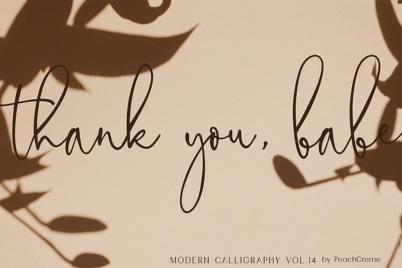 Floral Theory // CALLIGRAPHY Vol.14 in Calligraphy Fonts - product preview 17