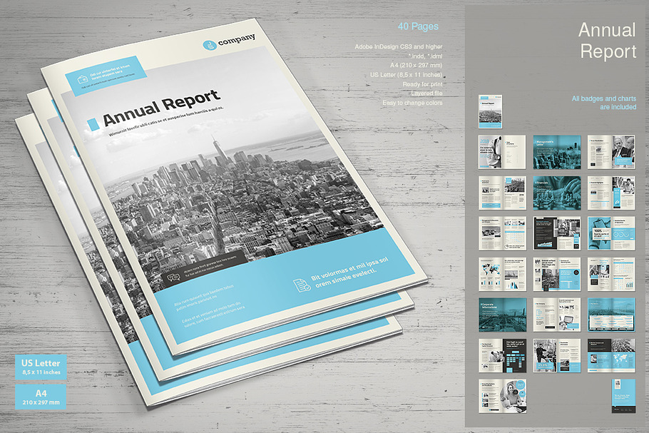 Annual Report Vol. 5