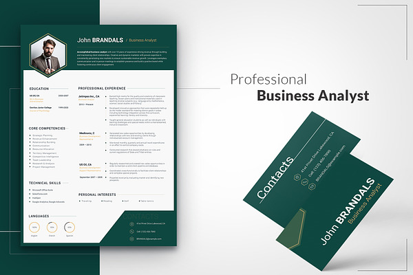 6-in-1 CV for Business Analyst