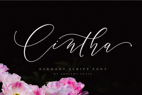 Cintha Elegant Script in Elegant Fonts - product preview 13