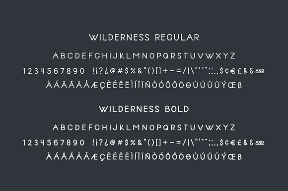 Wilderness | Handwritten Sans Serif in Hand-lettered Fonts - product preview 5