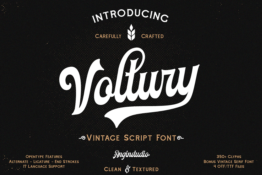 Voltury (with extras) in Display Fonts - product preview 8