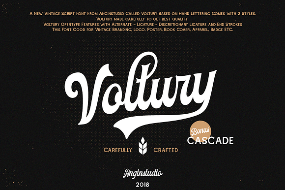 Voltury (with extras) in Display Fonts - product preview 1