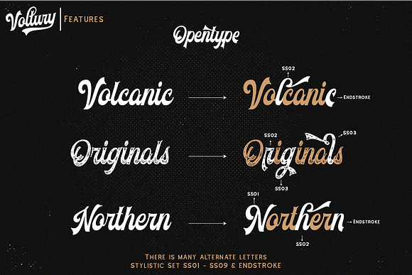 Voltury (with extras) in Display Fonts - product preview 3