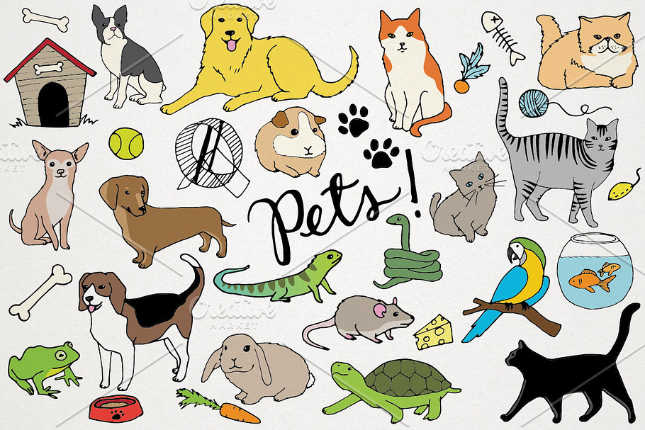 Animals & Pets Illustrations