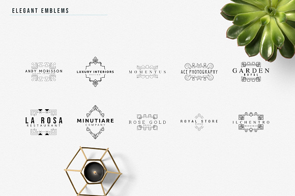 Elegant Emblems | 30 Logo Templates in Logo Templates - product preview 15