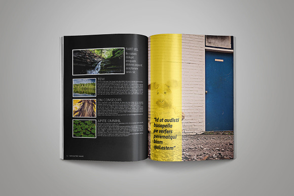 InDesign Magazine Template in Magazine Templates - product preview 5