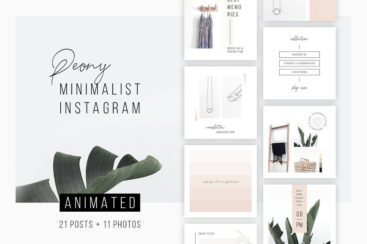ANIMATED Instagram Posts – Peony in Instagram Templates - product preview 8