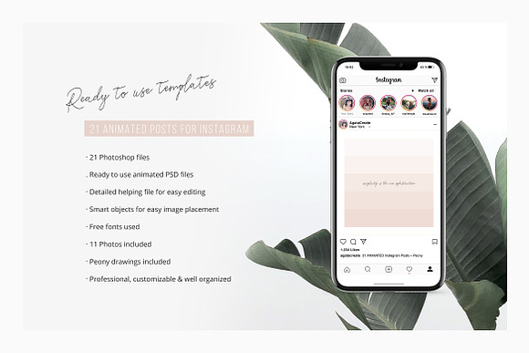 ANIMATED Instagram Posts – Peony in Instagram Templates - product preview 1