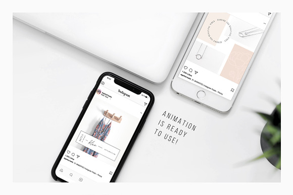 ANIMATED Instagram Posts – Peony in Instagram Templates - product preview 2
