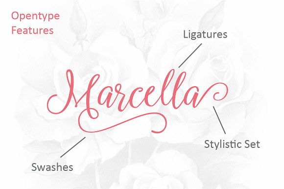 Marcella Script in Script Fonts - product preview 1