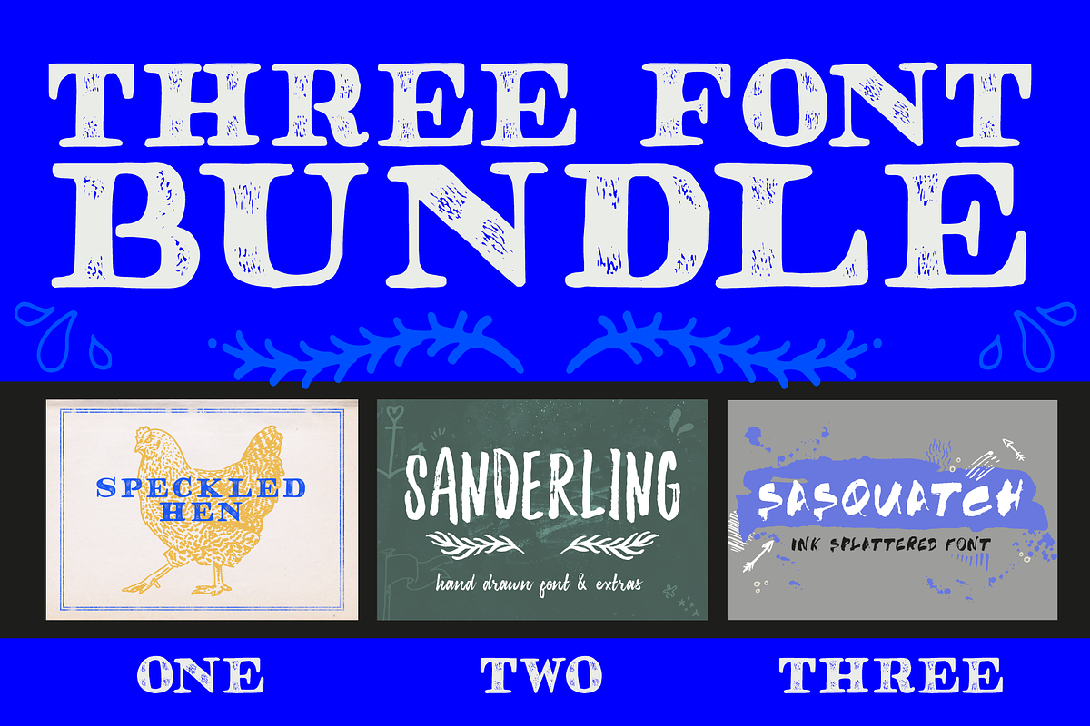 THREE FONT BUNDLE & extras in Script Fonts - product preview 8