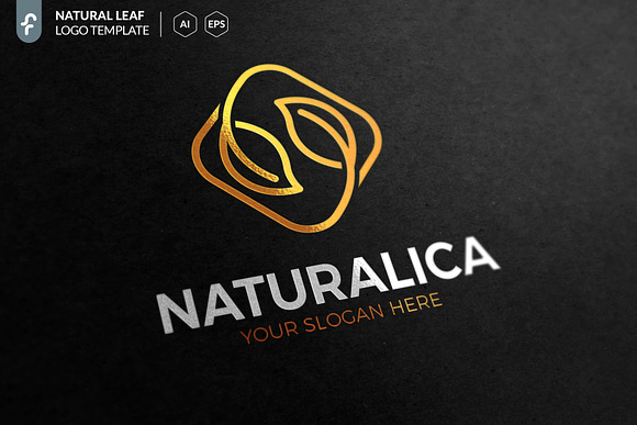Natural Leaf Logo in Logo Templates - product preview 1