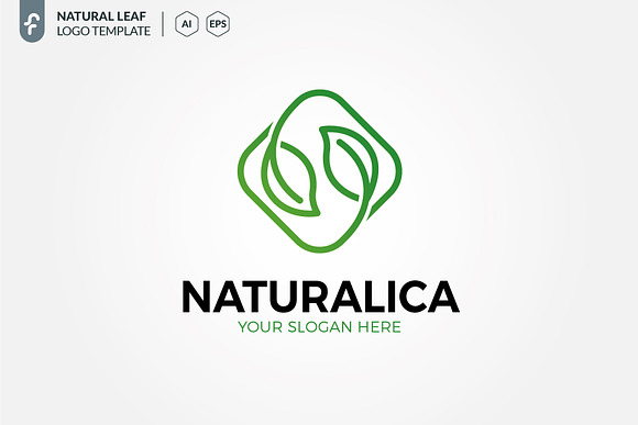 Natural Leaf Logo in Logo Templates - product preview 2