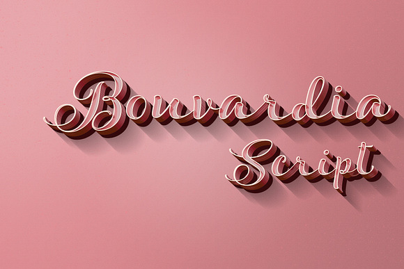 Bouvardia in Script Fonts - product preview 6