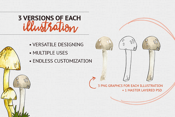 Woodland Mushroom Watercolors in Illustrations - product preview 1