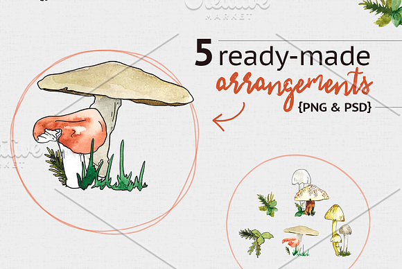 Woodland Mushroom Watercolors in Illustrations - product preview 2
