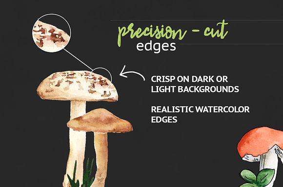 Woodland Mushroom Watercolors in Illustrations - product preview 3