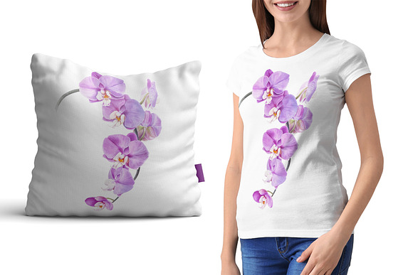 Botanical illustration Orchid in Illustrations - product preview 2