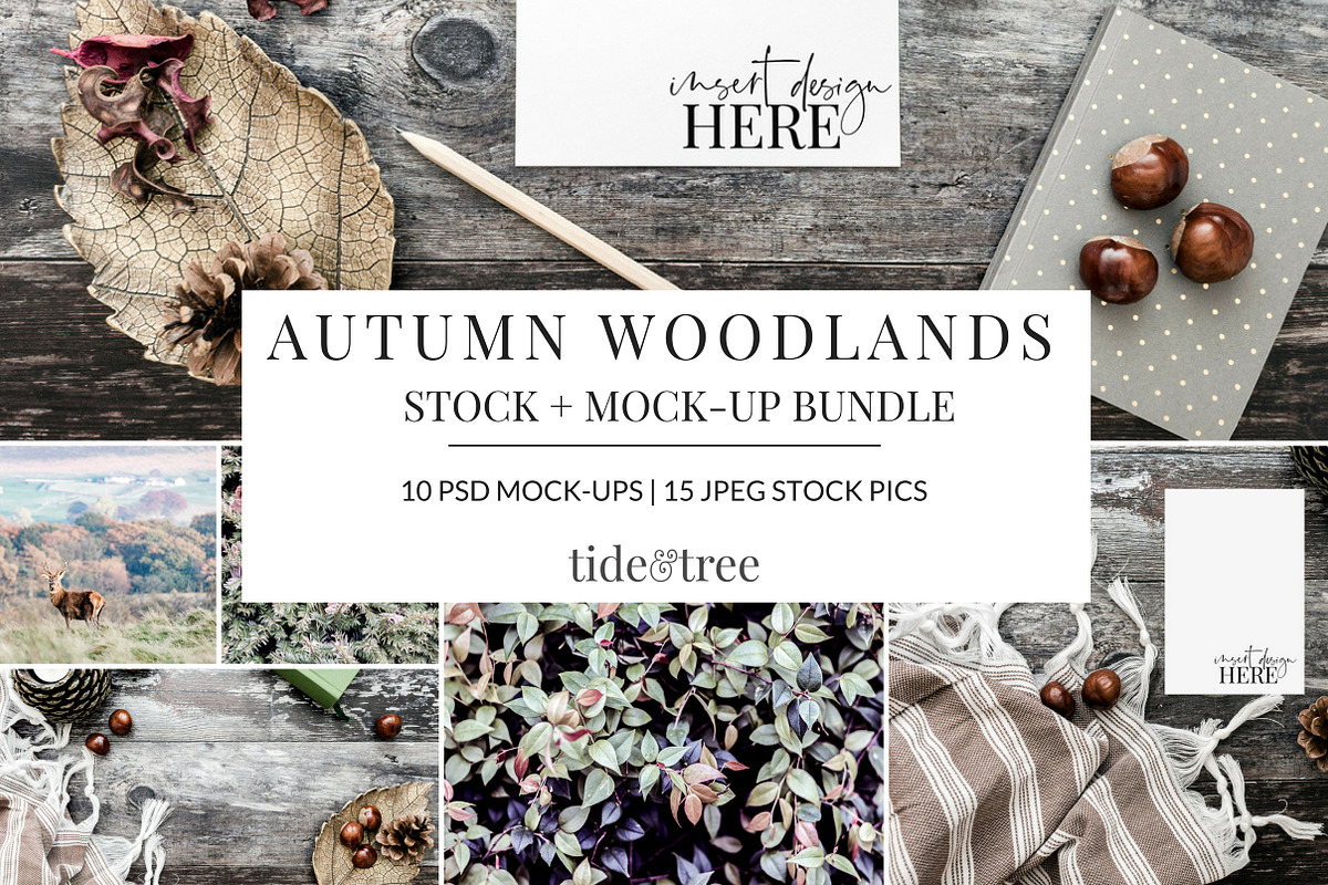 Autumn Woodlands in Social Media Templates - product preview 8